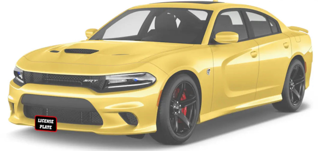 Quick-Release Front License Plate Bracket